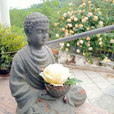 Amrita Rosa Hotel Castellamonte Eksteriør billede